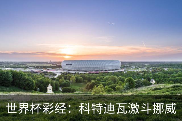 世界杯彩经：科特迪瓦激斗挪威