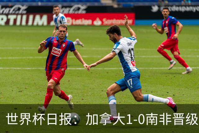 世界杯日报：加拿大1-0南非晋级创历史 韩国主帅洪明甫下课