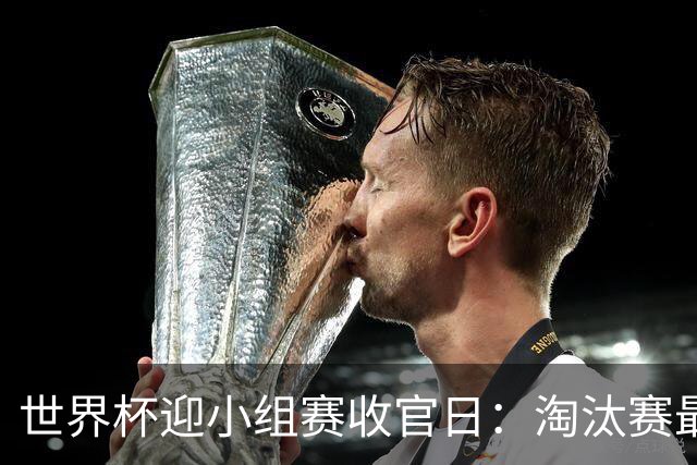 世界杯迎小组赛收官日：淘汰赛最后四席将从八队中产生