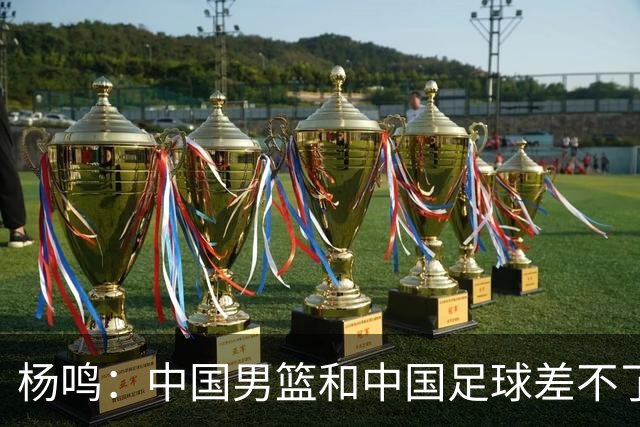 杨鸣：中国男篮和中国足球差不了太多，没有气场，失去了绝对优势
